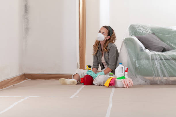 Reliable Mold Remediation contractor in Annandale, MN by WQB Mold Removal